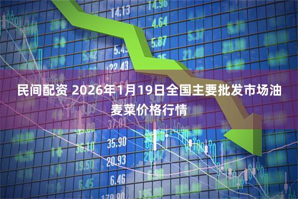 民间配资 2026年1月19日全国主要批发市场油麦菜价格行情